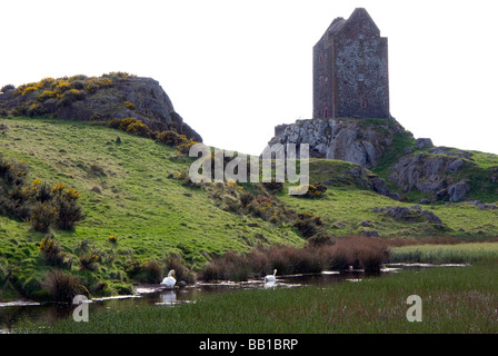 Tour de Smailholm, près de Kelso dans les Scottish Borders, avec deux cygnes au premier plan. Banque D'Images