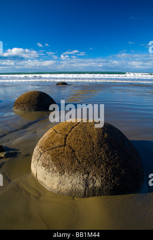 La NOUVELLE ZELANDE Otago Moeraki Boulders le fameux Moeraki Boulders sphérique sur le Nord de la côte d'Otago Banque D'Images