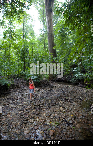 Marche à travers la jungle dans le parc national Corcovado Costa Rica Banque D'Images