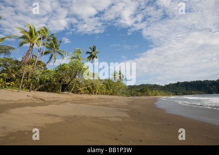 Le littoral de sable fin et de la jungle de la péninsule d'Osa le long du parc national Corcovado au Costa Rica. Banque D'Images