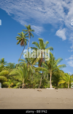 Le littoral de sable fin et de la jungle de la péninsule d'Osa le long du parc national Corcovado au Costa Rica. Banque D'Images