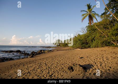 Le littoral de sable fin et de la jungle de la péninsule d'Osa le long du parc national Corcovado au Costa Rica. Banque D'Images