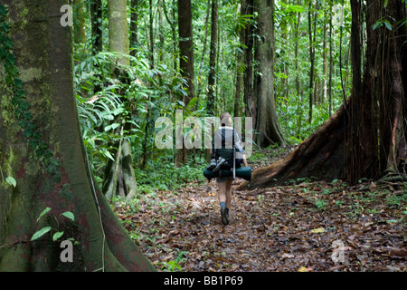 Un randonneur randonnée à travers la jungle dans le parc national de Corcovado au Costa Rica Banque D'Images