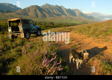 La vie en plein air avec chien et 4x4 au printemps, Riviersonderend mountains, d'Overberg, Western Cape, Afrique du Sud Banque D'Images