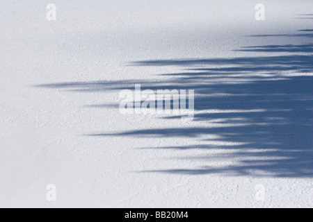 (Gioveretto Zufrittsee lac gelé) avec la neige, Alpes Italiennes Banque D'Images