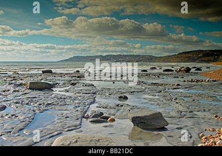 La côte du Dorset, près de Charmouth, regard vers Lyme Regis. Le sud de l'Angleterre Banque D'Images