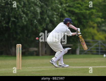 Cricket Village à Lapworth, Warwickshire, England, UK