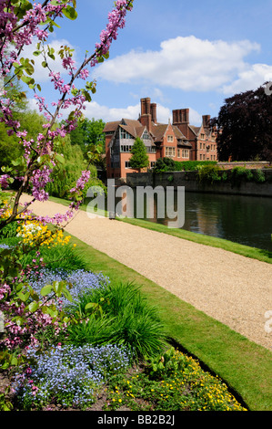 Le jerwood Bibliothèque au Trinity Hall College vu du jardin Fellows à Clare College Cambridge Angleterre Uk Banque D'Images