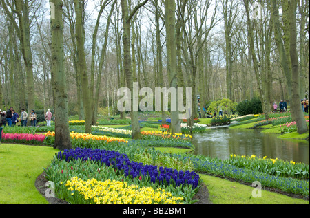 L'Europe, Pays-Bas, Hollande, lisse, les jardins de Keukenhof Banque D'Images