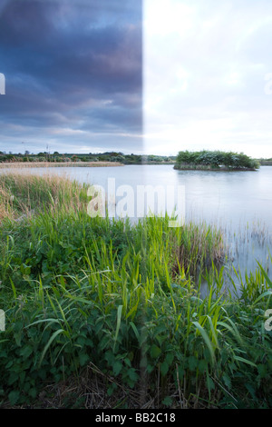 Soirée à l'Extrême Ings National Nature Reserve à Barton upon Humber dans le Nord du Lincolnshire Banque D'Images