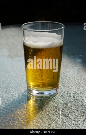 Verre de bière blonde dans la lumière du soir Banque D'Images