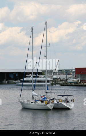 Radeaux de voiliers Banque D'Images