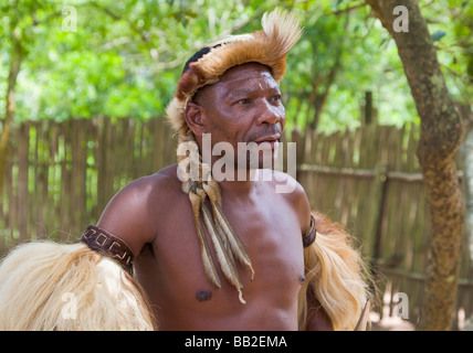 Guerrier zoulou, KwaZulu Natal, Afrique du Sud" Banque D'Images