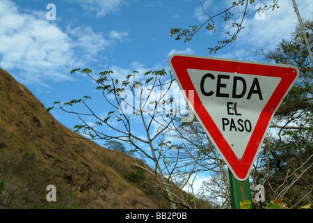 Signe de rendement dans la forêt tropicale, le Costa Rica Banque D'Images