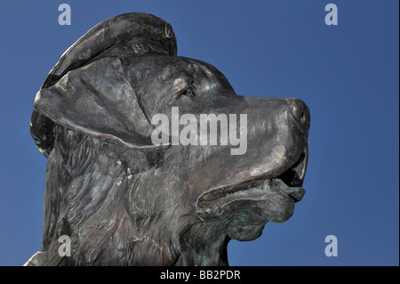 Statue de Bamse plus grand chien dans les forces alliées de la Seconde Guerre mondiale 2 Banque D'Images