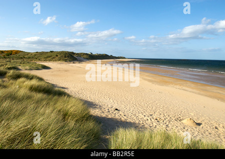 Embleton Beach, Northumberland Banque D'Images