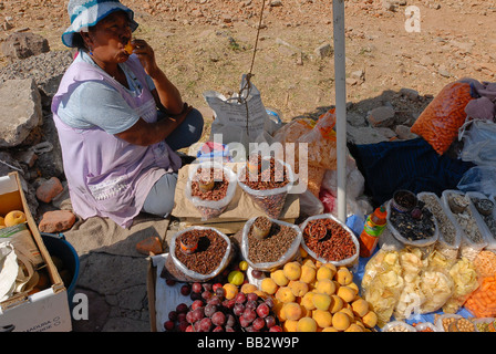 Femme vendant des cigales et des sauterelles criquets séchés au Mexique pour être utilisés comme nourriture Banque D'Images