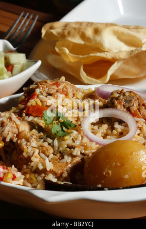 Le Sindhi biryani est un plat de riz et viande spéciale de la province de Sindh. Banque D'Images