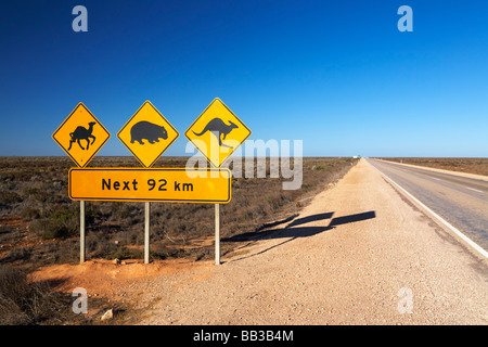 Australian road emblématique signe sur l'Eyre Highway près de la Nullabor Road House l'Australie du Sud Banque D'Images