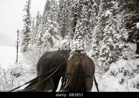 Le Canada, l'Alberta, le lac Louise. Farimont Chateau Lake Louise. Promenade en traîneau l'hiver autour de lac Louise gelé. Banque D'Images