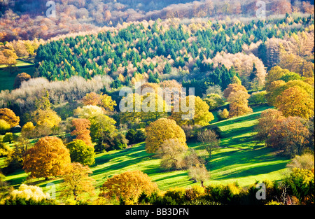 L'automne vue sur la campagne des Cotswolds Gloucestershire en Angleterre Banque D'Images