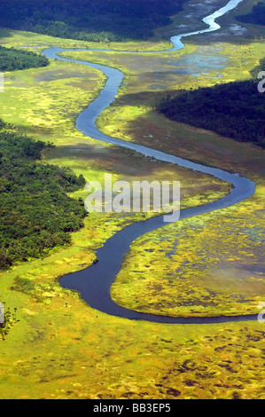 La GUYANE, le parc national de Kaieteur. Le Potaro River serpente à travers les buissons et les mangroves, jaune et vert de la forêt amazonienne luxuriante Banque D'Images