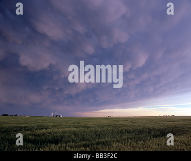 Les nuages Mammatus ou mammatocumulus accrocher sous l'enclume d'un violent orage au Nebraska, USA Banque D'Images