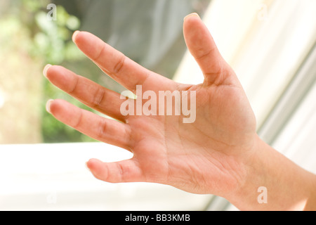 Womans palm Banque D'Images