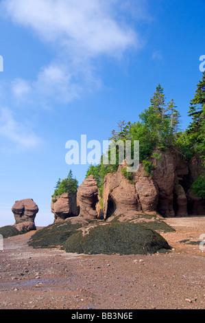 Canada, Nouveau-Brunswick, Hopewell Cape, baie de Fundy. Hopewell Rocks à marée basse (aka rochers en forme). Banque D'Images