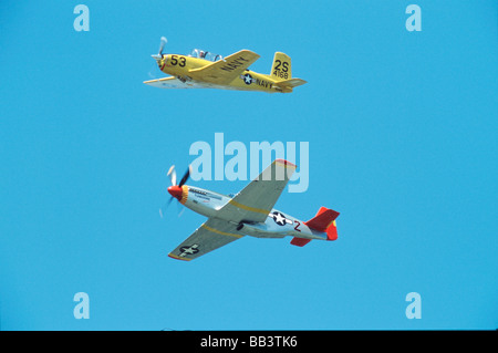 North American P-51C et queue rouge Tuskegee Airmen T-34C Turbo Mentor volant dans le ciel Banque D'Images