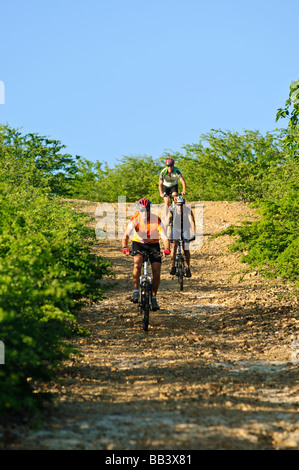 VTT dans le parc national de Washington Slagbaai, Bonaire Banque D'Images