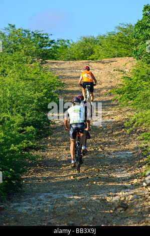 VTT dans le parc national de Washington Slagbaai, Bonaire Banque D'Images