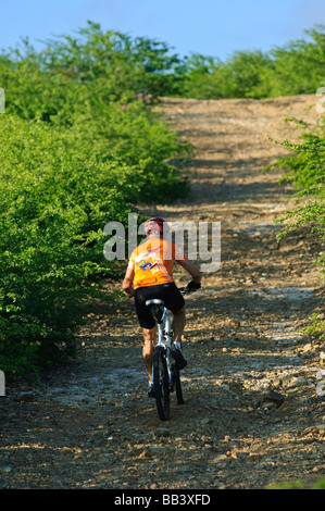 VTT dans le parc national de Washington Slagbaai, Bonaire Banque D'Images