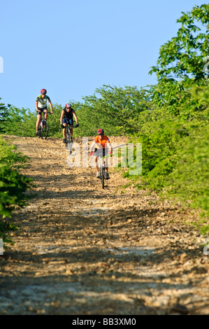 VTT dans le parc national de Washington Slagbaai, Bonaire Banque D'Images