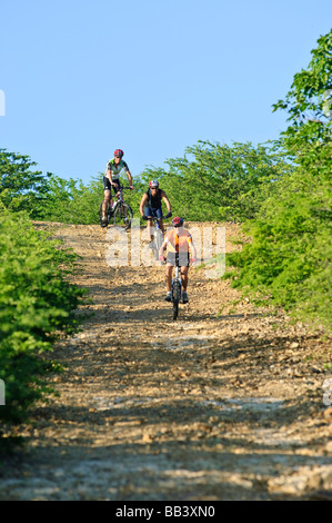 VTT dans le parc national de Washington Slagbaai, Bonaire Banque D'Images