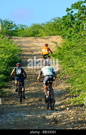 VTT dans le parc national de Washington Slagbaai, Bonaire Banque D'Images