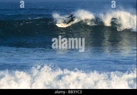 Surfer les vagues d'équitation,longboard, Baja California au Mexique Banque D'Images
