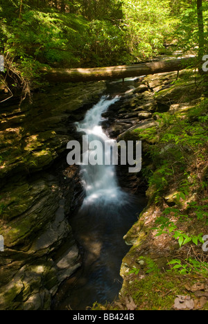 États-unis, TN, South Cumberland State Park. Sentier de gésier Fiery, Black Canyon Falls Banque D'Images