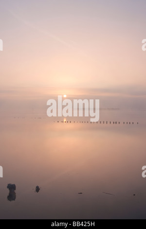 À l'aube de l'estuaire de Blythburgh sur une brume froide et frosty matin à Suffolk Banque D'Images