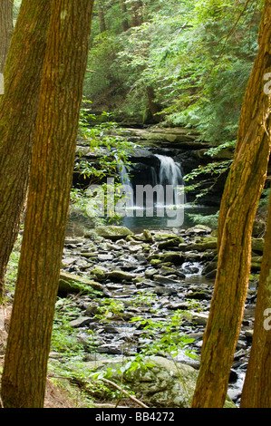 États-unis, TN, South Cumberland State Park. Fiery gésier sentier mène à Trou Bleu Falls Banque D'Images