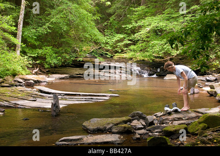 États-unis, TN, South Cumberland State Park. Sentier de gésier Fiery a des piscines pour vous rafraîchir en été. M. Banque D'Images