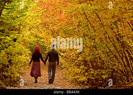 USA, Washington, Stevens Pass, White Pine Creek. Couple en train de marcher au milieu de feuillage de l'automne. Banque D'Images