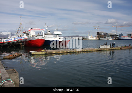 Bateaux dans le port de Reykjavik, Islande. Banque D'Images