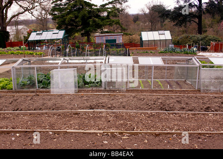 CLOCHES DE VERRE DANS L'UTILISATION SUR UN POTAGER À RHS WISLEY. Banque D'Images