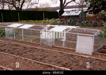 CLOCHES DE VERRE DANS L'UTILISATION SUR UN POTAGER À RHS WISLEY. Banque D'Images