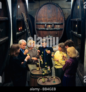 DÉGUSTATION DE VINS, GROUPE DE PERSONNES QUI GOÛTE DES VINS DANS L'ANCIENNE CAVE ALSACE FRANCE EUROPE Banque D'Images