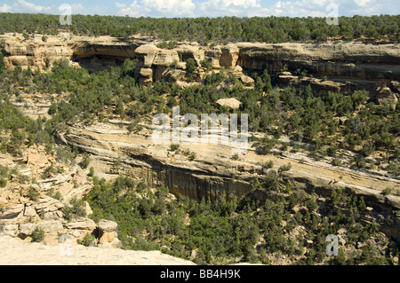 Colorado, Mesa Verde National Park. Sun Point voir sortir, Cliff Palace ruines. Banque D'Images