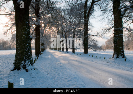 Route de campagne bordée de neige en hiver, Pamphill, Wimborne, Dorset, UK Banque D'Images