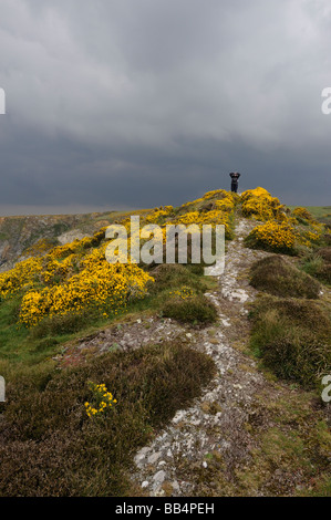 Une femelle Walker sur la péninsule de Dinas Fawr près de Pembrokeshire Wales UK Résoudre Banque D'Images