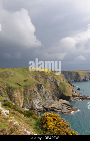 Dinas Fawr sur le chemin de la côte du Pembrokeshire, près de Solva, Pays de Galles, Royaume-Uni Banque D'Images